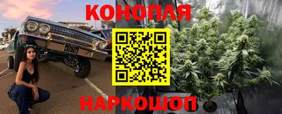прущие грибы Ливны