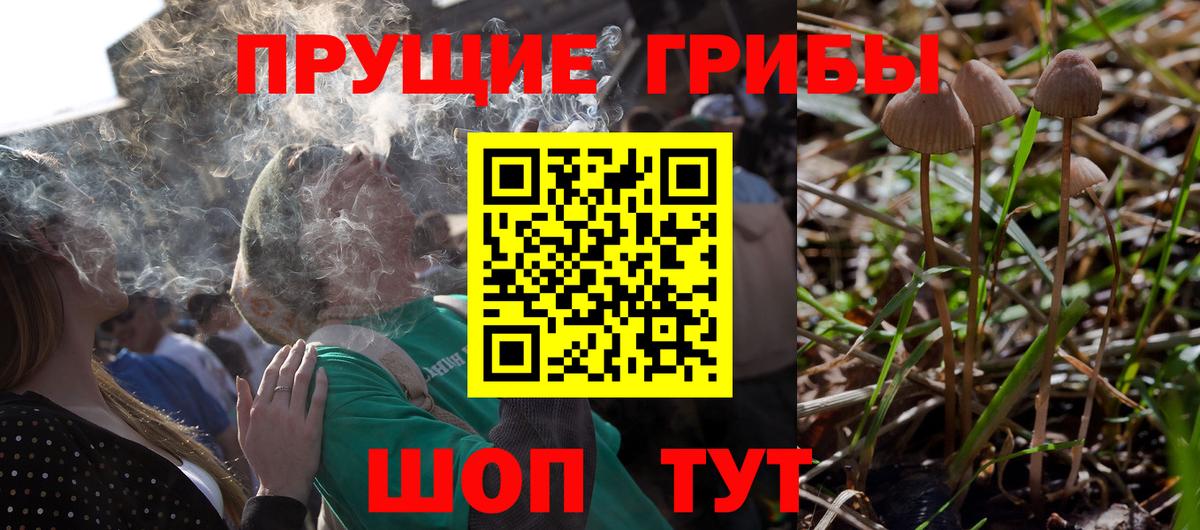 Псилоцибиновые грибы MAGIC MUSHROOMS Дмитров