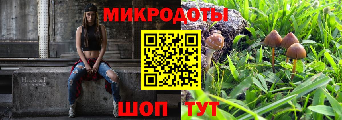 Дмитров  где найти   Вход с VPN  Псилоцибиновые грибы мухоморы  Псилоцибиновые грибы MAGIC MUSHROOMS 